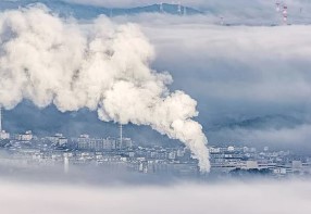 탄소중립실천포인트