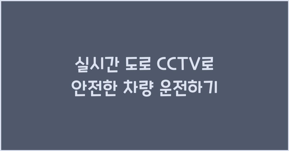 실시간 도로 cctv