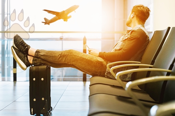 일본여행 출입국 과정 경험담