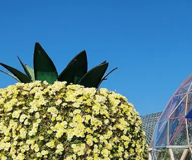 제19회 거제섬꽃축제 2025 – 국화향기 속으로 떠나는 섬의 가을