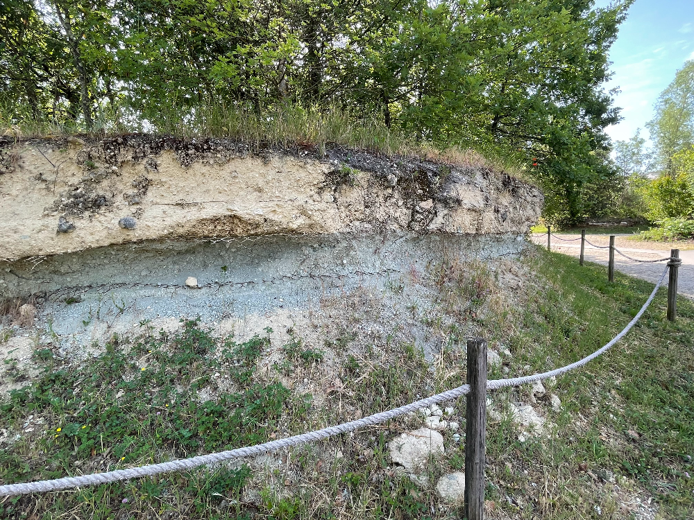 보르도 식물원 - 1.젖은 초원4