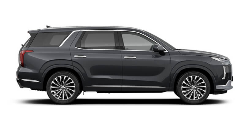 팰리세이드-옆모습