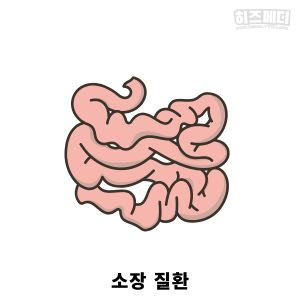 비타민 결핍 빈혈