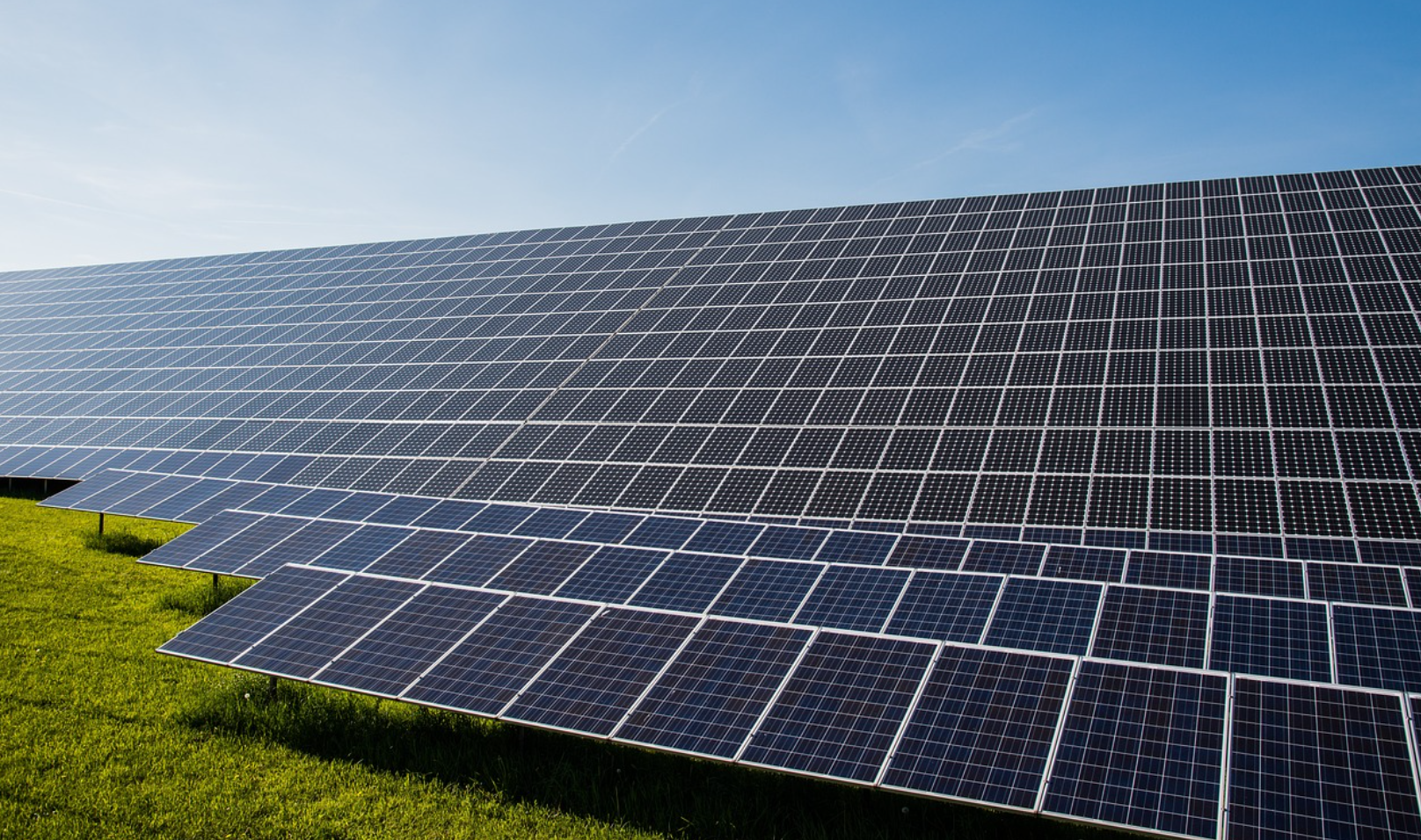 태양광 패널