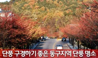 대구 가볼만한곳 베스트10 근대골목 수성못 노포맛집 여유 코스_18