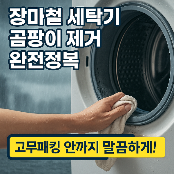 장마철 세탁기 곰팡이 제거 썸네일 이미지입니다.