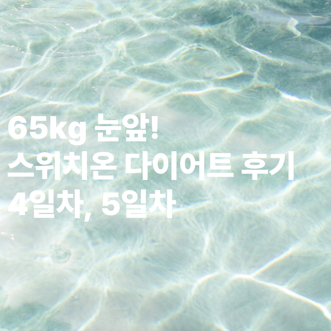 65kg 눈앞! 스위치온 다이어트 후기 4일차·5일차 리얼 기록