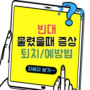 ktx 빈대