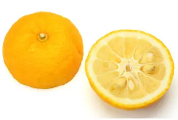 유자 가격 및 효능&amp;#44; 영양성분