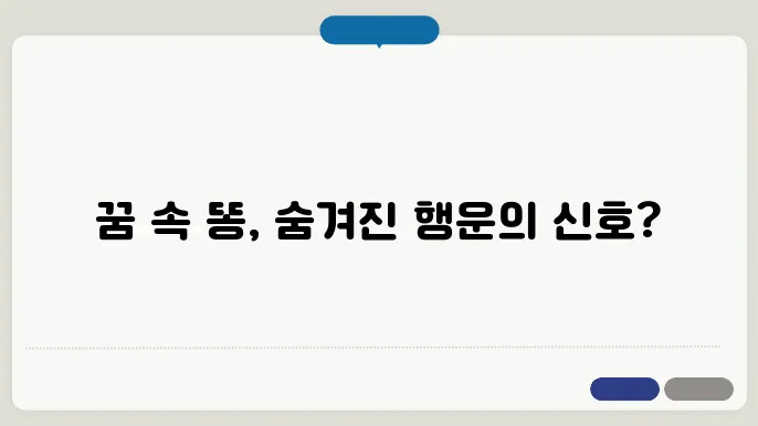 똥 꿈해몽 풀이