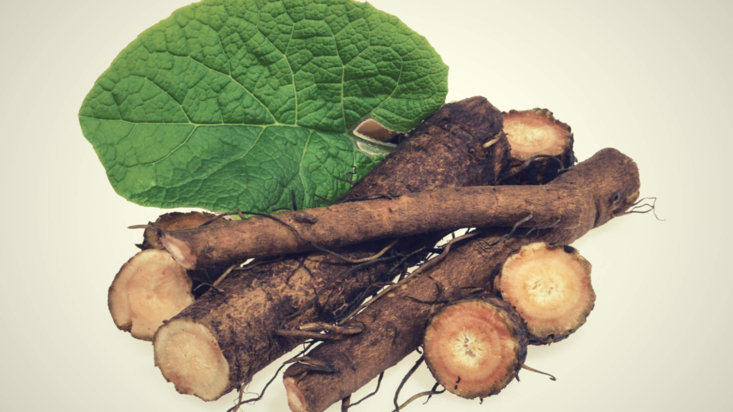 장 건강에 좋은 우엉