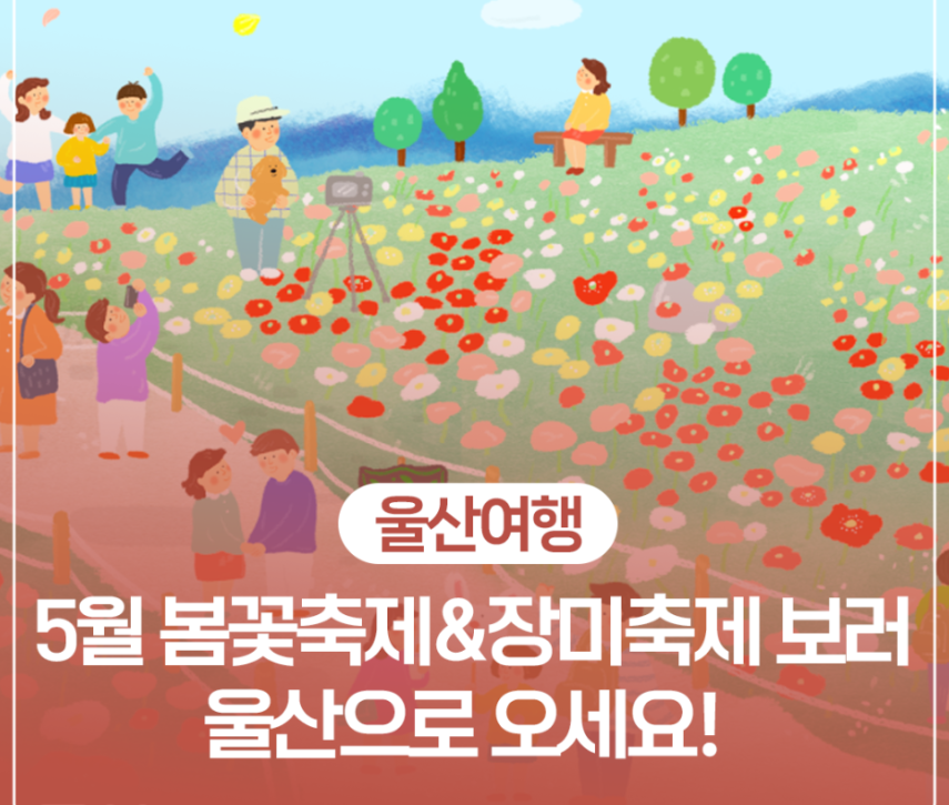 울산여행 태화강 대나무숲 축제 야경