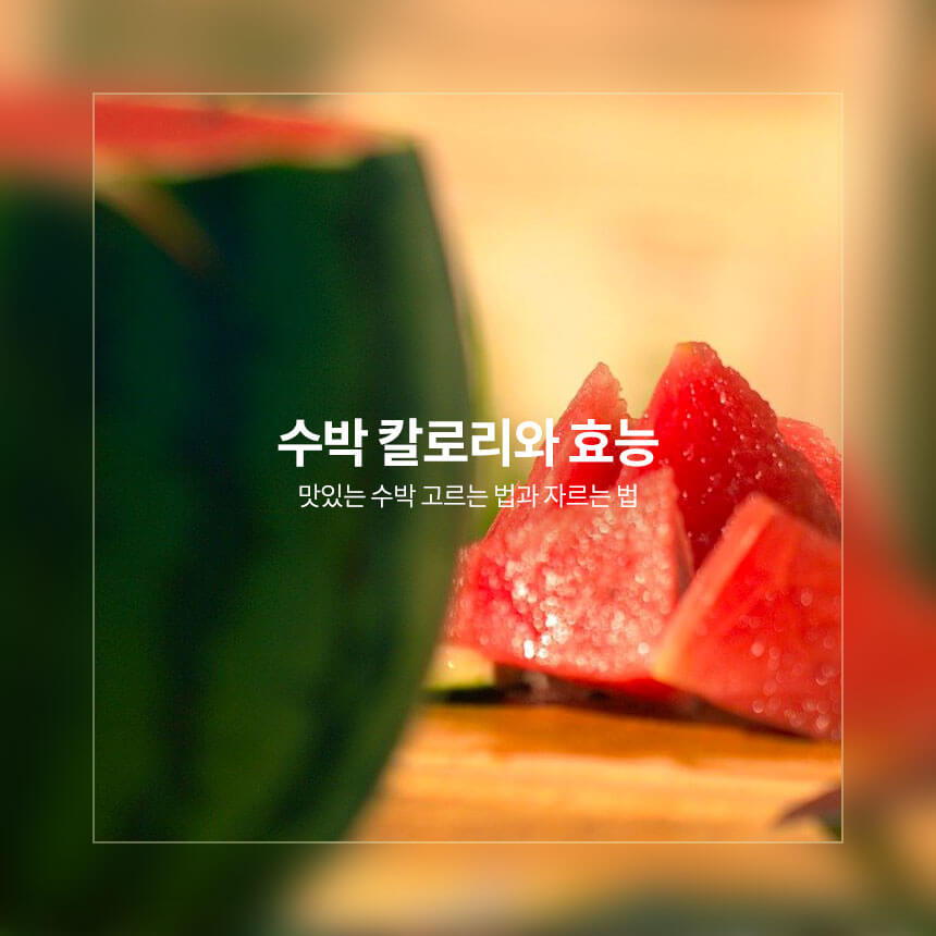 “수박-칼로리와-효능-맛있는-수박-고르는-법”