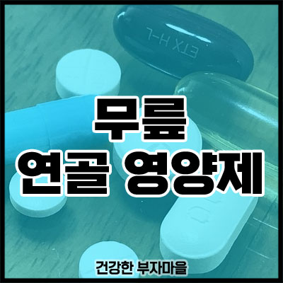 무릎 연골 영양제