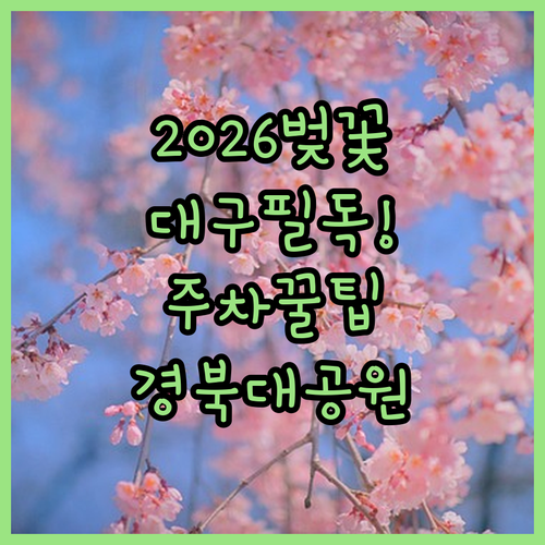 2026년 대구 벚꽃 개화 시기 및 ..