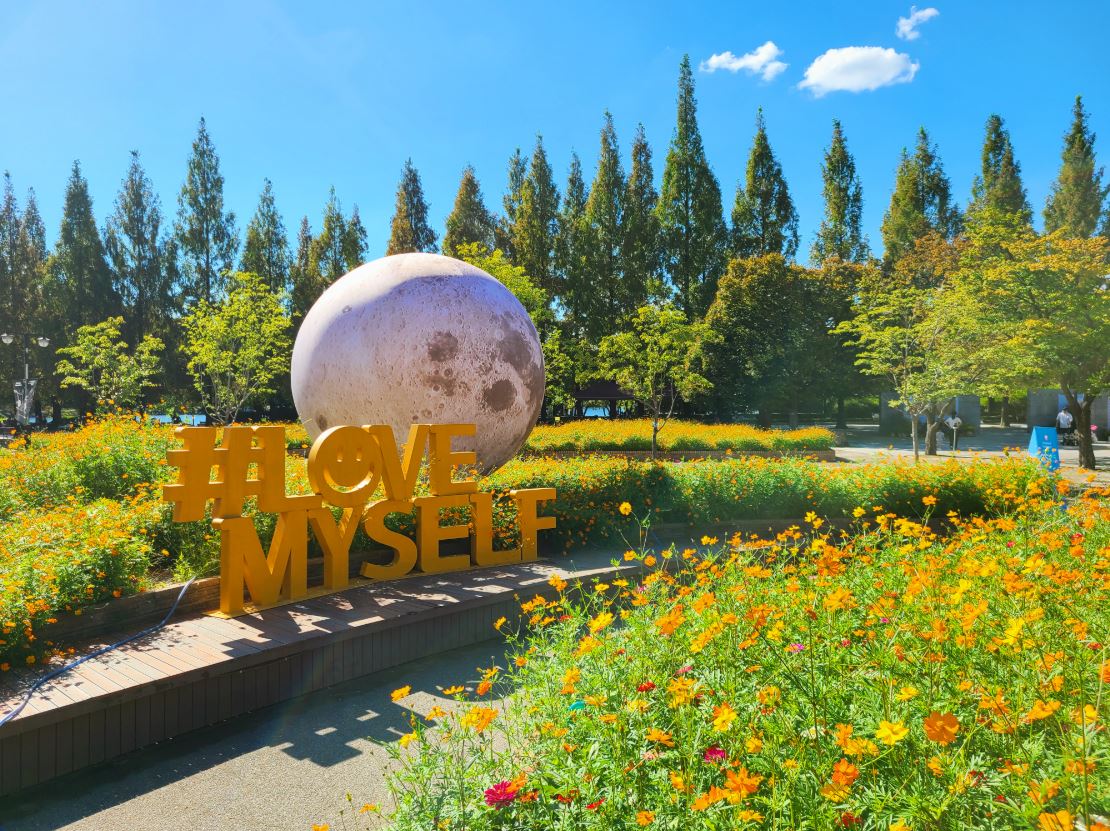 고양 가을꽃축제 일산호수공원