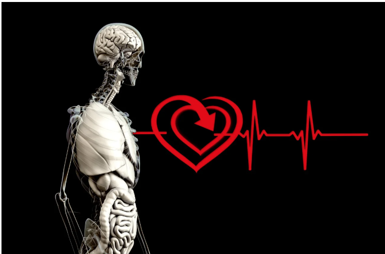 간 건강을 위한 디톡스 식단