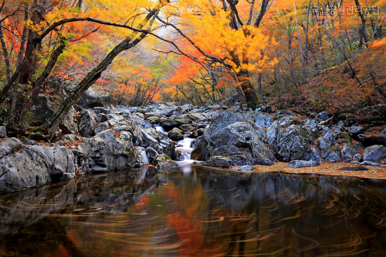 2020 단풍시기 명소