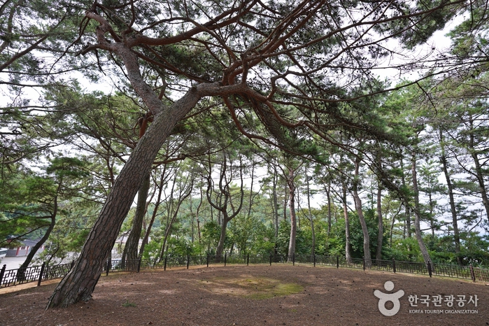 완도 가볼만한곳 베스트10