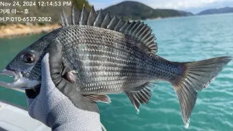 압해도 장감리 감성돔 포인트 소개와 혼자하는 낚시의 즐거움 완벽 낚시 가이드_1