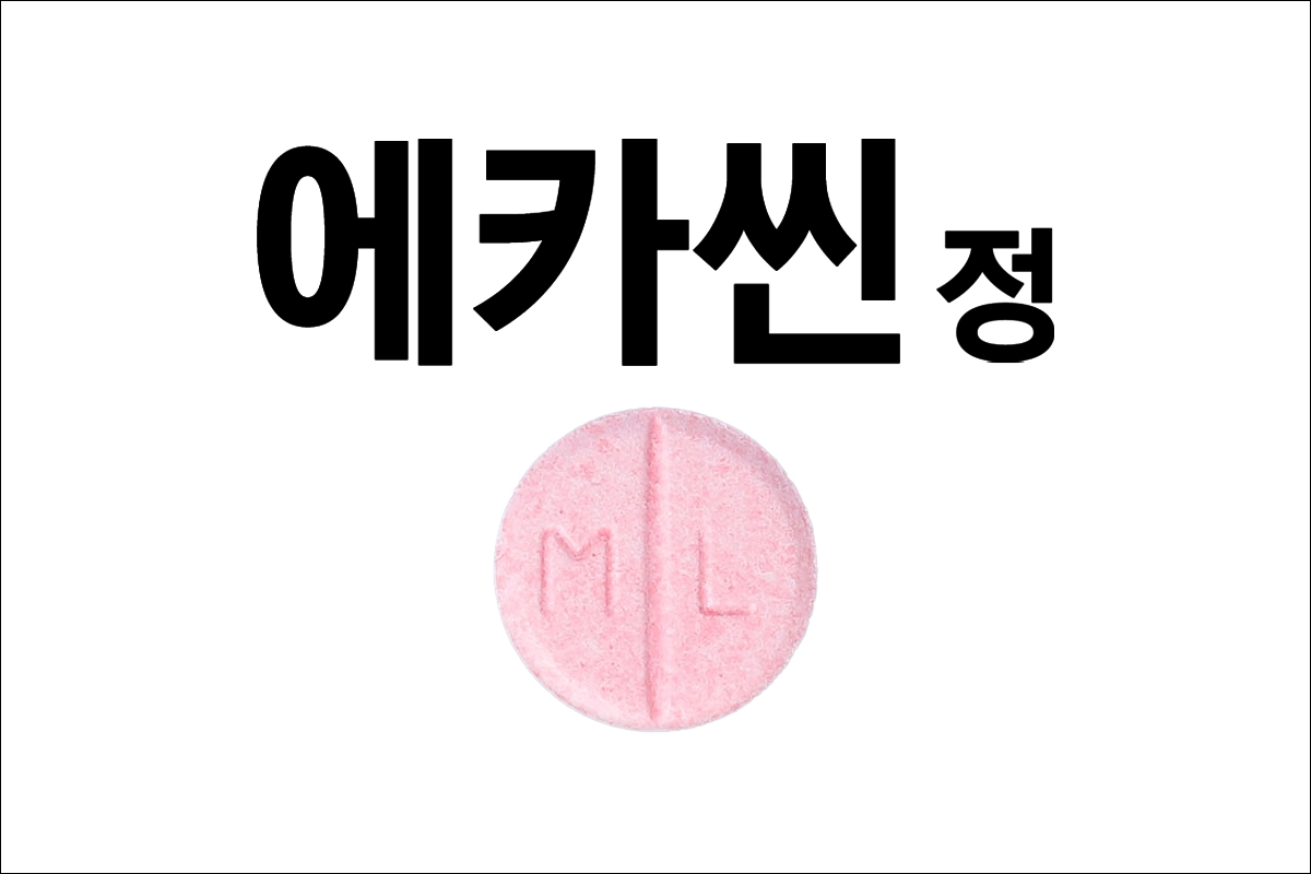 에카씬정 효능 효과 부작용 감기약 오한 발열 코막힘