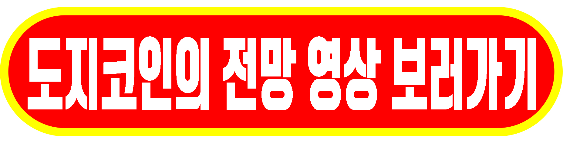 도지코인의 전망
