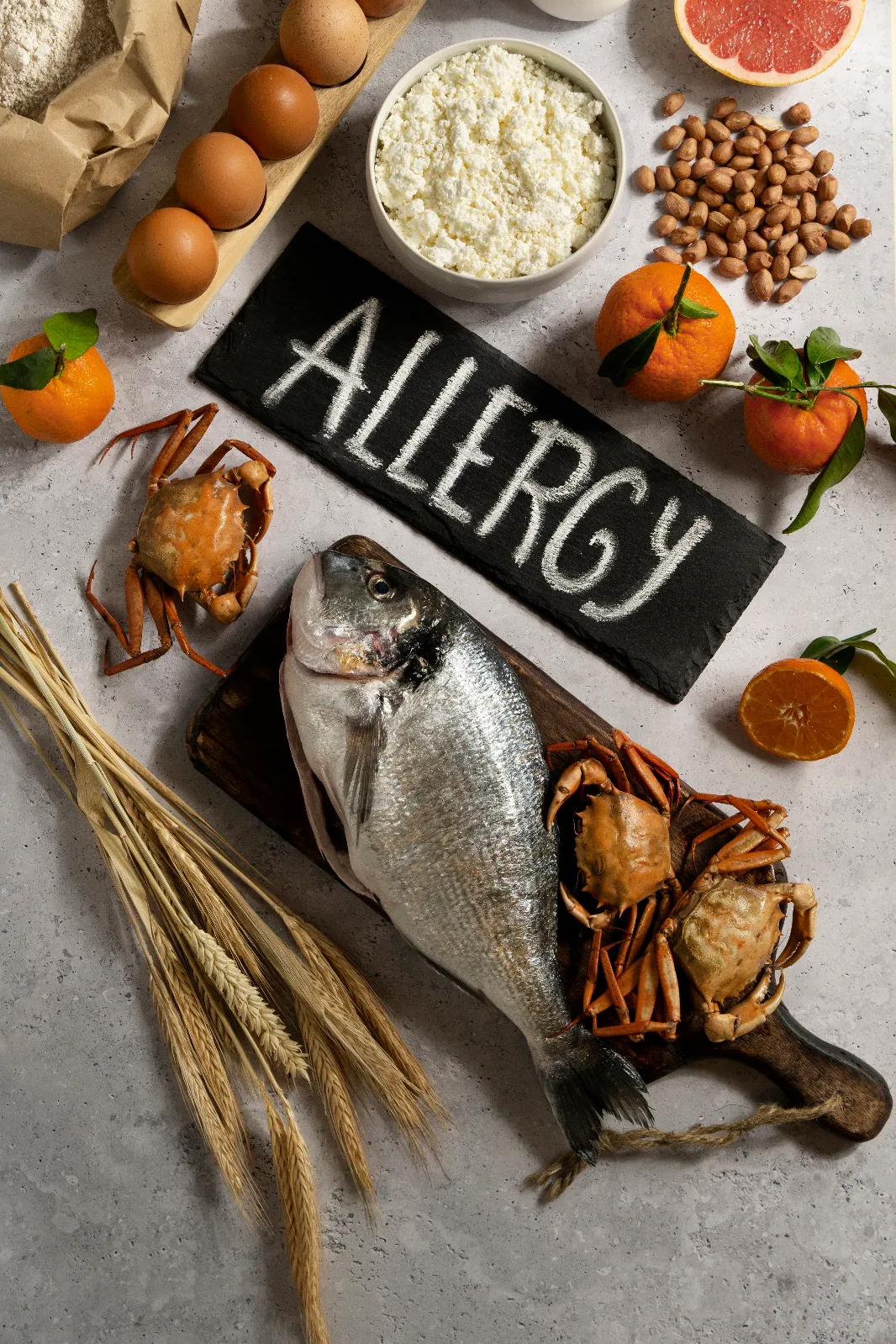 <a href="https://kr.freepik.com/free-photo/view-allergens-commonly-found-food_38668438.htm#fromView=search&page=1&position=49&uuid=0d22b9d1-6182-4cdb-b5a1-1b4f054a8d6d">출처 freepik</a>