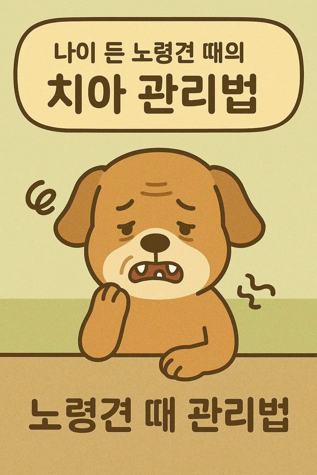 노령견의 치아 건강을 위한 관리법과 주의할 점 안내