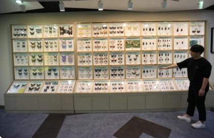 양평곤충박물관 무료입장