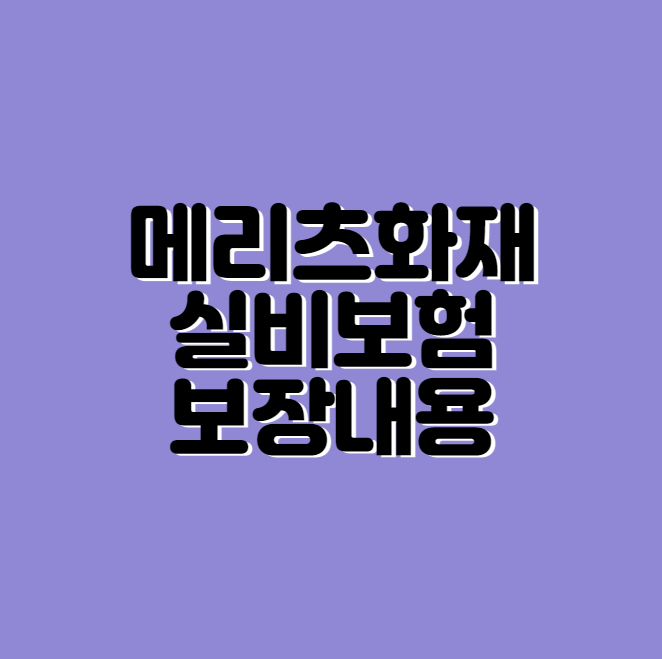 메리츠화재 실비보험 실손의료비보험
