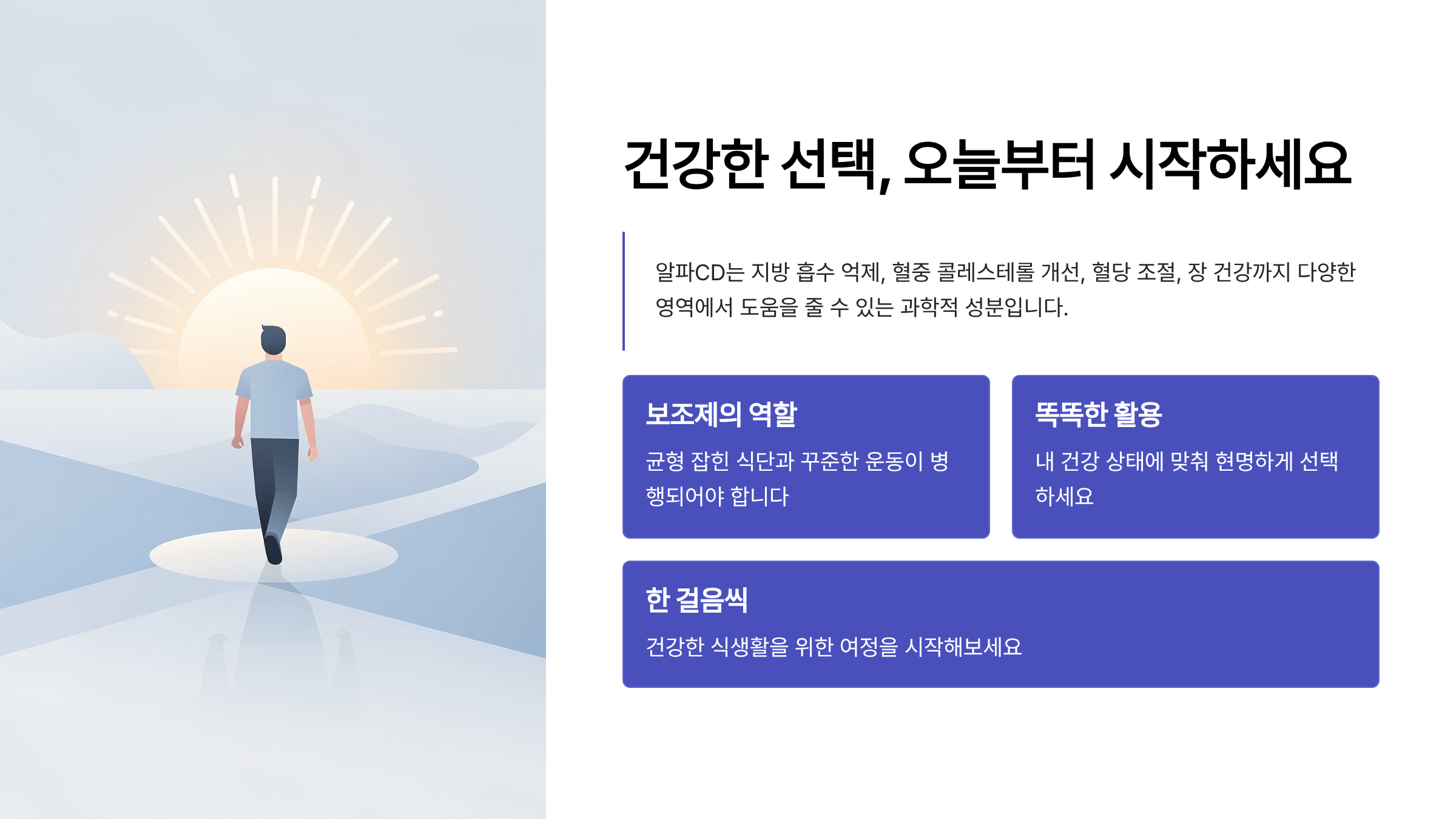 알파CD효능