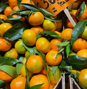 귤 효능 부작용 칼로리 고르는법