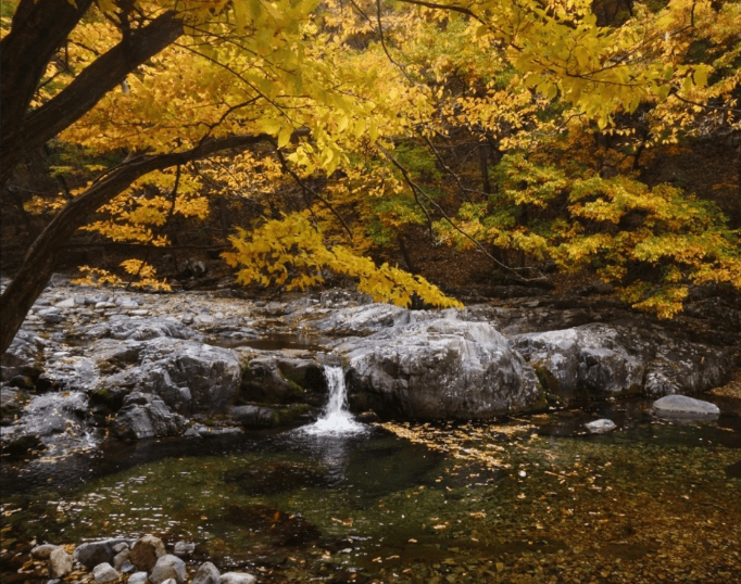 양산 내원사계곡