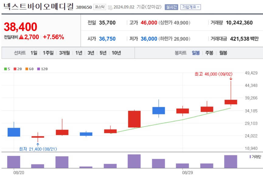 넥스트바이오메디컬 주가