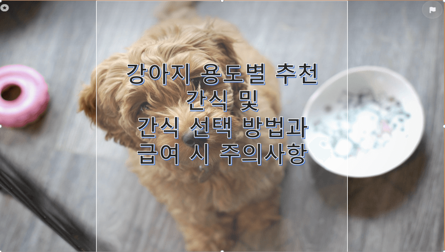 강아지 간식 급여