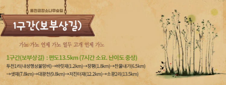 울진 금강송 소나무숲길