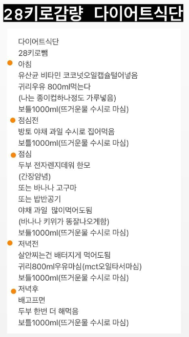 진서연-다이어트- 40일만-28kg-감량- 비법-다이어트-식단