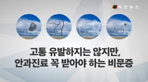비문증
