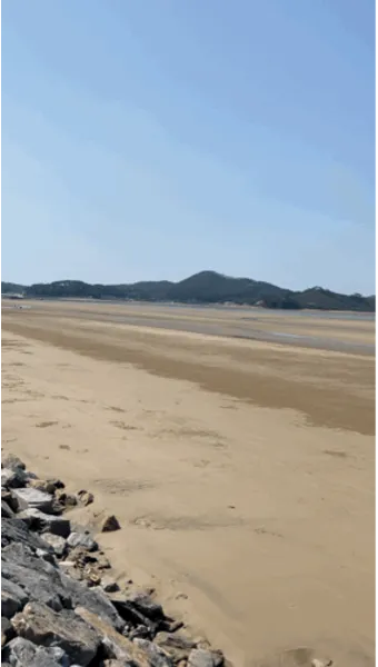 태안 신두리해수욕장 신두리해안사구 자연 풍경과 체험_14