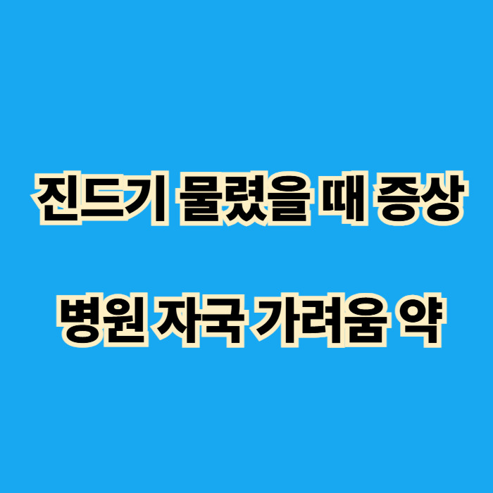 진드기 물렸을 때 증상 ❘ 병원 ❘ 자국 ❘ 가려움 ❘ 약 ❘ 경험담