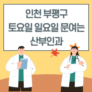인천 부평구 토요일 일요일 산부인과 진료 병원 리스트