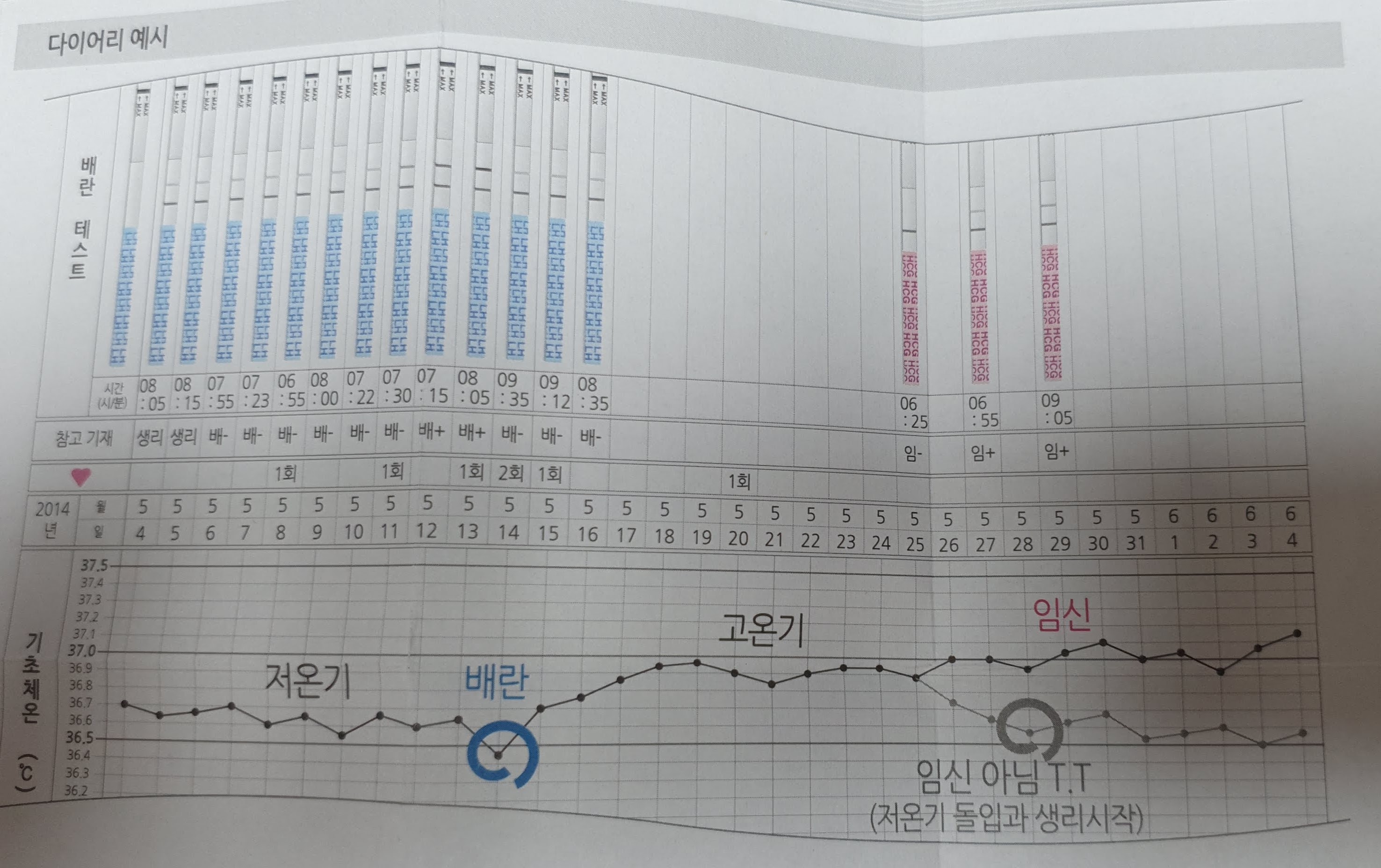 4. 배란테스트기