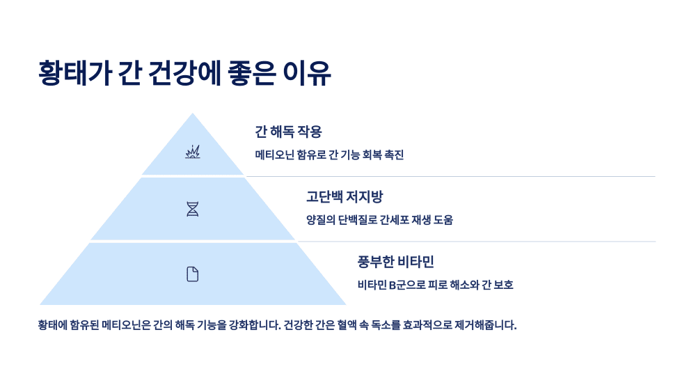 황태가 간 건강에 좋은 이유