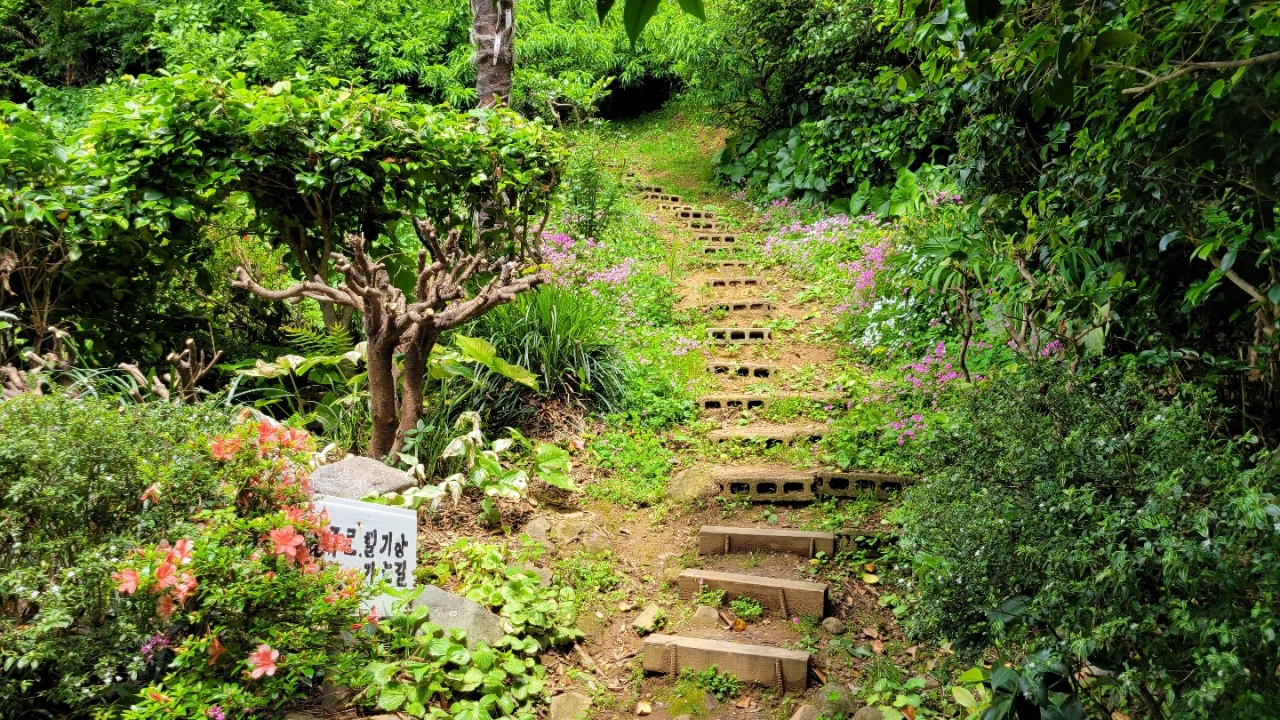한국기행 거제 지심도 민박 펜션
