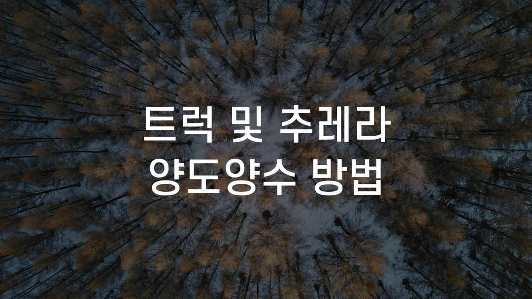 트럭 및 추레라 양도양수 방법