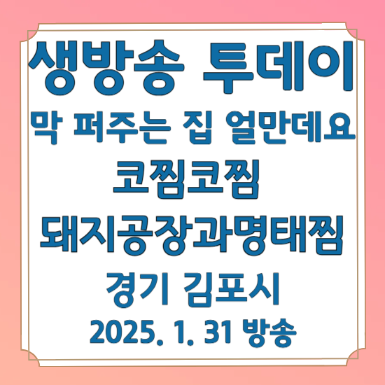 생방송 투데이 막 퍼주는 집 얼만데요