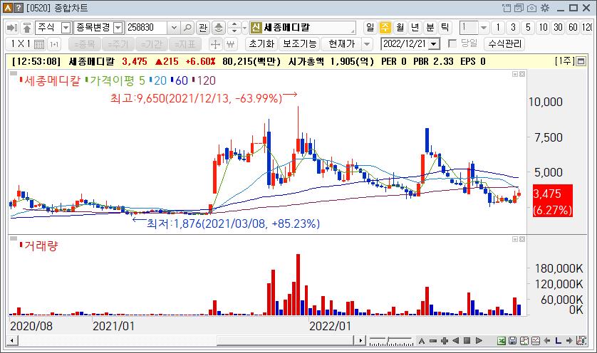 세종메디칼 주가흐름
