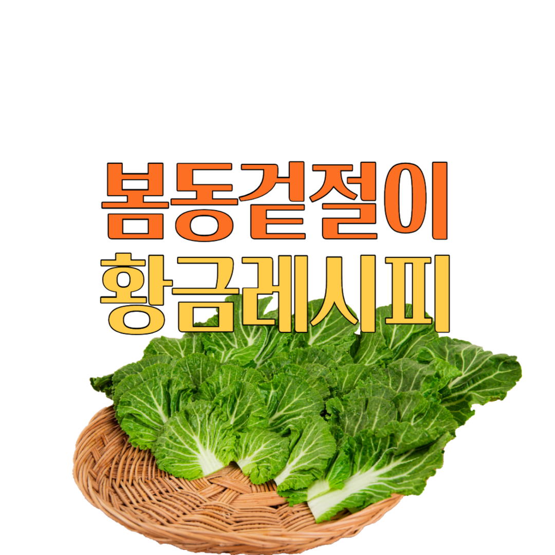 백종원 봄동 겉절이 황금레시피