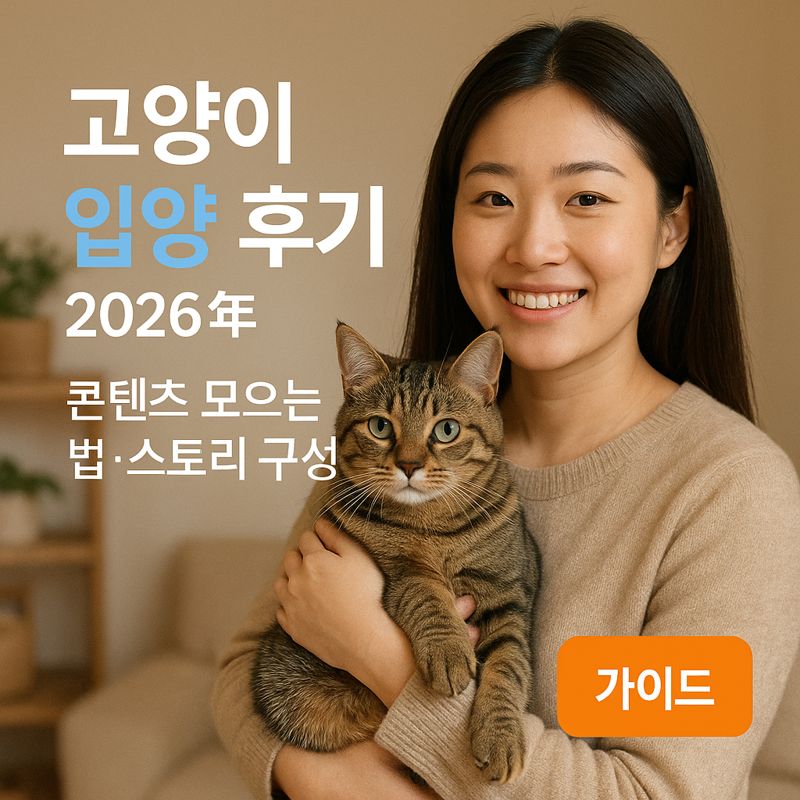 고양이 입양 후기 2026년 | 콘텐츠 모으는 법·스토리 구성 가이드