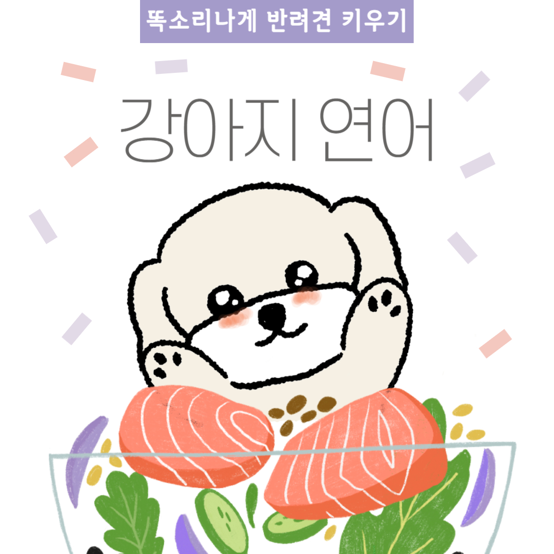 강아지 연어 효능 주의사항 급여량